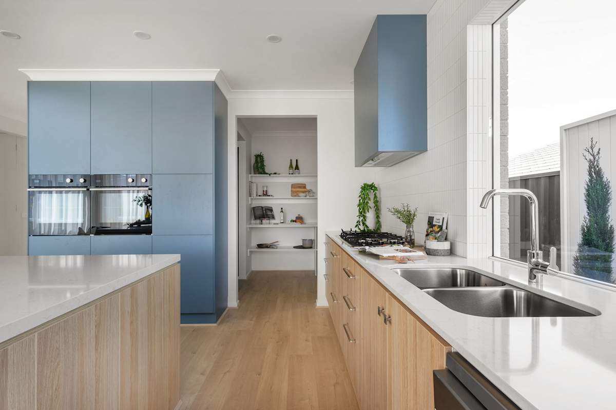 Sandford 42 Home Design in Contempo Style - Kitchen