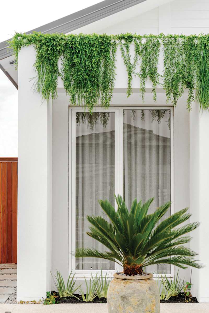 Dunedin 29 home design front facade