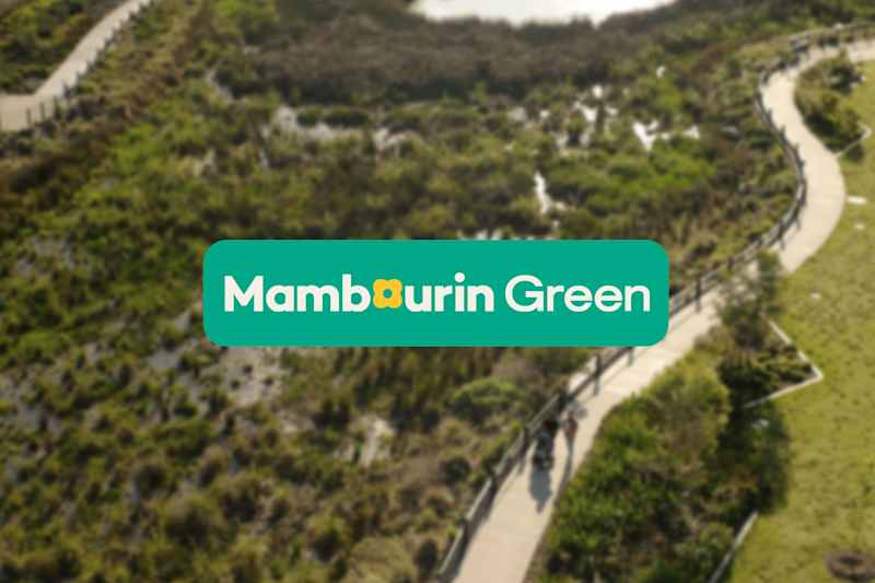 Mambourin Green - Mambourin