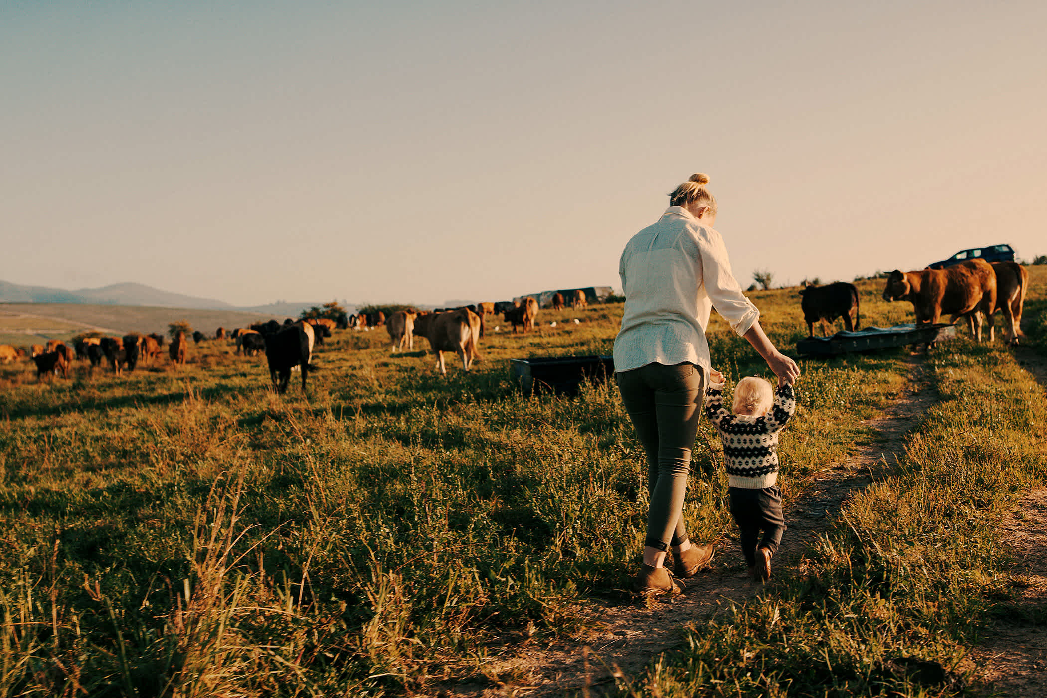 House and Land Melbourne & Victoria
